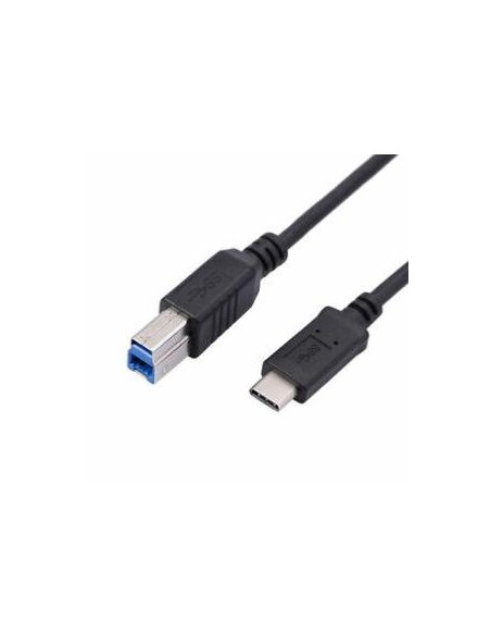 Cavo da USB B a USB C