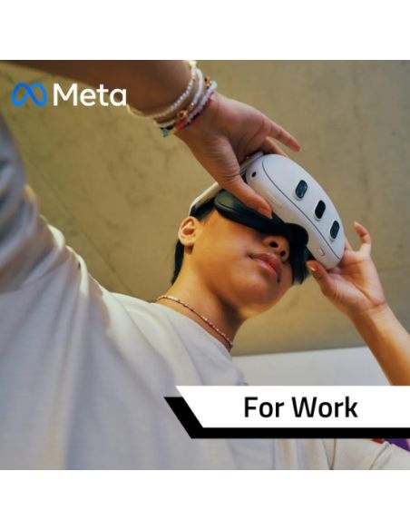 Meta Horizon Managed Service for Work license