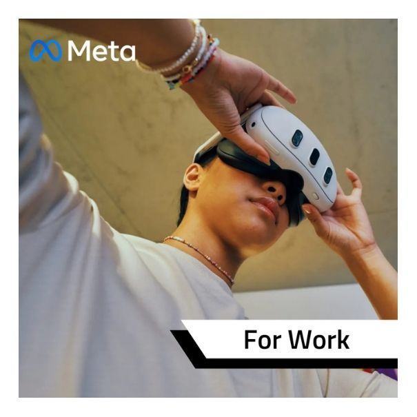 Meta Horizon Managed Service for Work Licence
