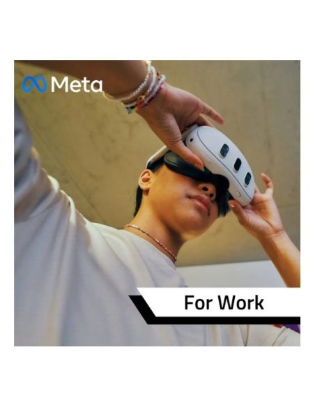 Meta Horizon Managed Service for Work Licence