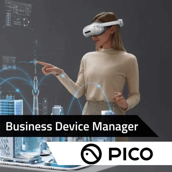 Pico Business Device Manager – Jahreslizenz