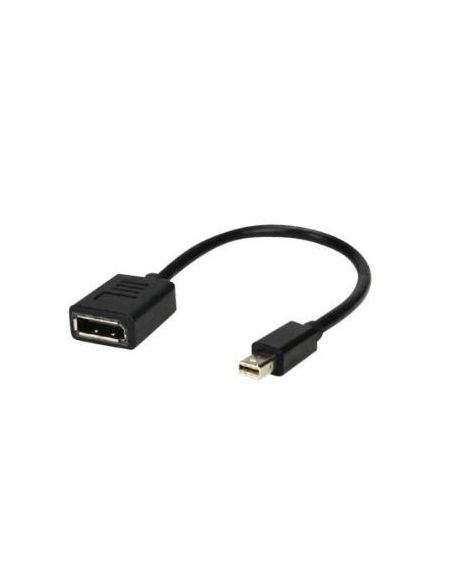 Mini Displayport-M /Displayport-F