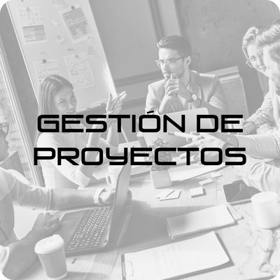 Gesti&oacute;n de proyectos